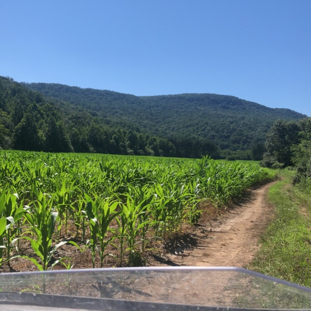 Meet your Posher, Lacer